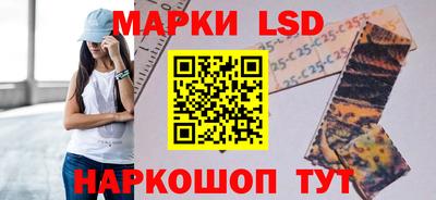 PSILOCYBIN Кингисепп