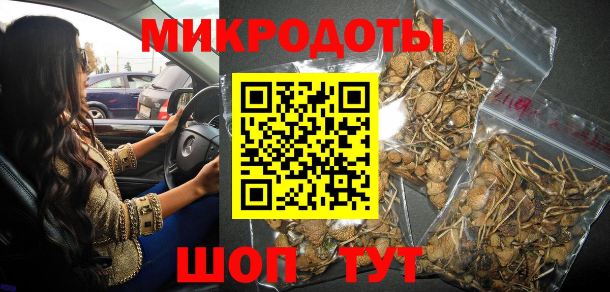 Псилоцибиновые грибы мицелий Минусинск